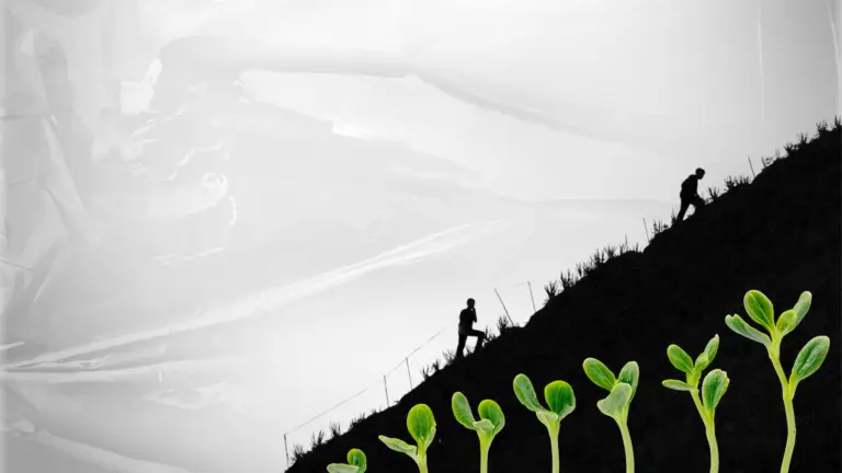 Marketing Systems Create Sustainable Growth